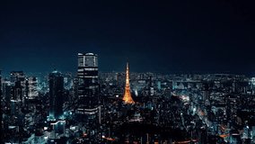 Static video of Tokyo skyline at night. Airplane landing.