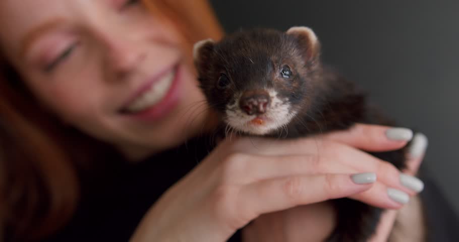 cheerful girl holding funny fluffy pet which is sticking tongue out, isolated on black studio blurred background copy space Slow motion. tender, warm feeling and emotion