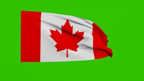 Canada Flag Animation waving Green Screen