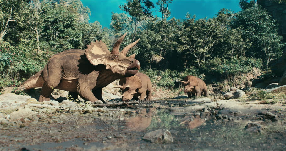 Mighty triceratops roam the jungle in search of food. . High quality 4k footage. 3D Illustration Royalty-Free Stock Footage #1106562139