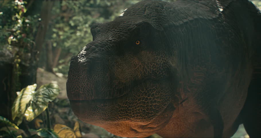 Tyrannosaurus walks through the Jurassic jungle. The Age of Dinosaurs. T-rex on the hunt. Anamorphic video. 3d rendering. High quality 4k footage. 3D Illustration Royalty-Free Stock Footage #1106562169