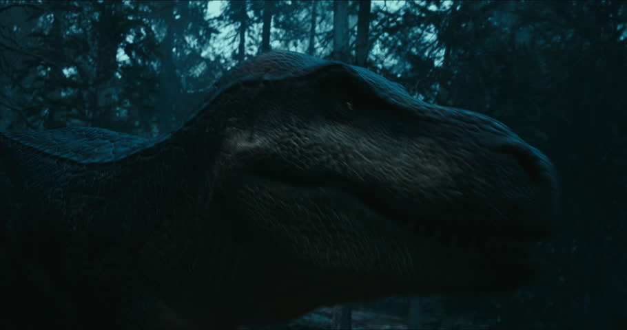 Tyrannosaurus walks through the Jurassic jungle. The Age of Dinosaurs. T-rex on the hunt. Anamorphic video. 3d rendering. High quality 4k footage. 3D Illustration Royalty-Free Stock Footage #1106562181