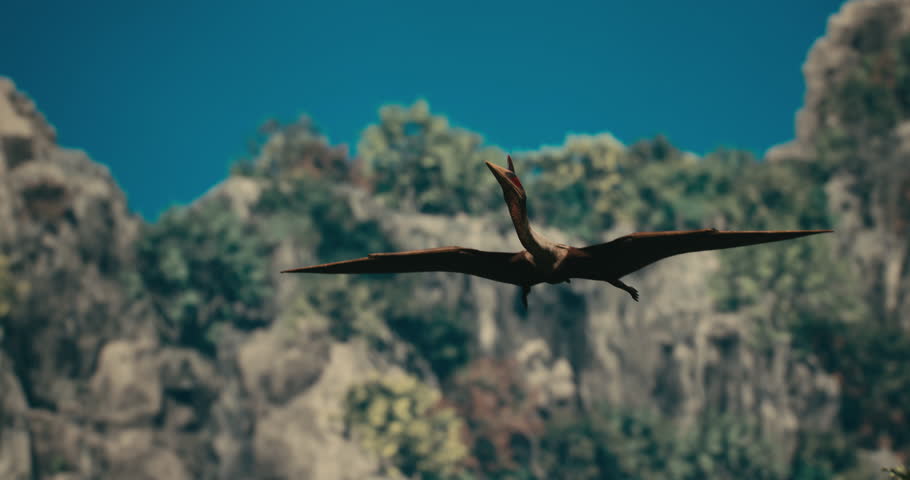A pterodactyl prepares to fly to hunt. High quality 4k footage. 3D Illustration Royalty-Free Stock Footage #1106562205