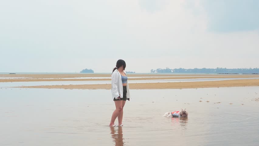 Owner girl and Shih Tzu dog in a life jacket playing in the sea