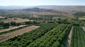 4K high resolution drone video of the She'ar Yashuv village- Northern Israel during the summer months- Israel