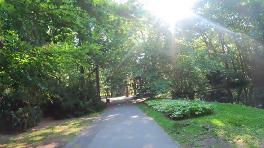 Park Oliva landscape place for rest walk beautiful trees bushes flowers Gdansk Poland