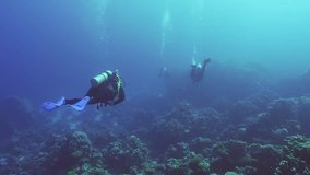 Three scuba divers swims in the deep over coral garden, Slow motion, Backlighting (Contre-jour), Back view