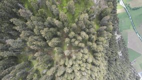 Aerial Drone Video Panning Upwards Revealing the Swiss Alps Near Interlaken and Lauterbrunnen 