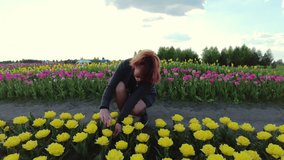 A Woman Capturing the Beauty of Tulips with Her Phone Camera