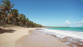 Amazing tropical paradise beach with yellow sand, coconut trees, sea and blue sky. Background for outdoor travel. Summer holiday concept. Caribbean island of the Dominican Republic. Video is toned.