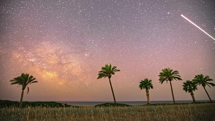 Milky Way Timelapse above palm trees and grassy field with airplane light streaks