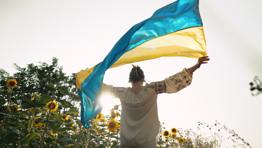 Ukrainian flag waving on wind in beautiful woman hands. Sunflowers, wheat field Royalty-Free Stock Footage #1106604527