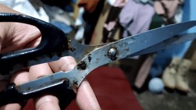 rusty iron black scissors video