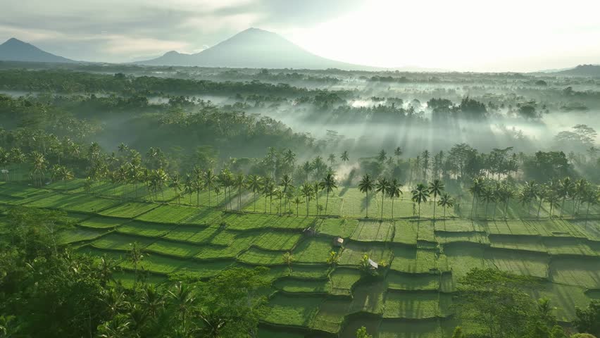 Bali, indonesia - circa 2023 - excellent aerial footage of a sunlit, misty green valley by the mountains in ubud, bali, indonesia. Royalty-Free Stock Footage #1106620705