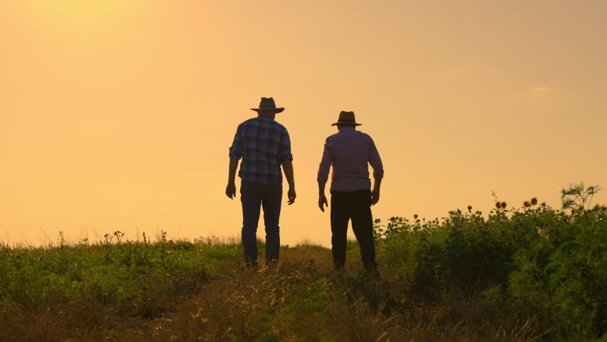 Teamwork concept. Silhouette two male farmers walking in a green field against sunset. Team farmers stand in a field Agronomists discuss harvest. Royalty-Free Stock Footage #1106626361