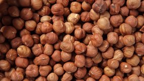Hazelnuts harvest. Filbert video wallpaper. Full frame of hazel. Cobnut background. Peeled brown nut kernels. Healthy organic bio products. Vegetarian, vegan and raw food. Back to nature. Healthy fat