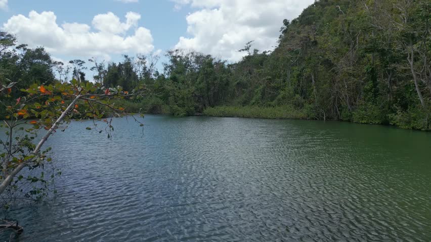 Aerial view following the Río San Juan river, in middle of jungle, in Samana, DR