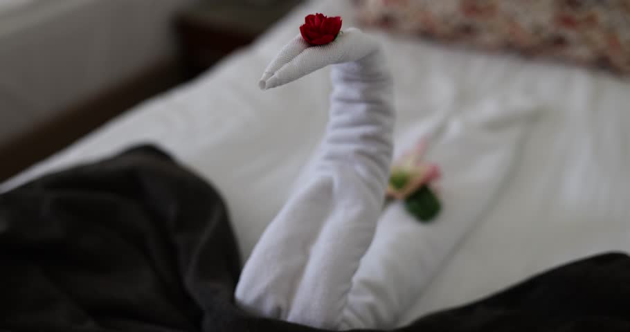 toma de toallas de habitación de hotel en forma de cisne, arte de toallas,  servicio de limpieza 15046815 Foto de stock en Vecteezy
