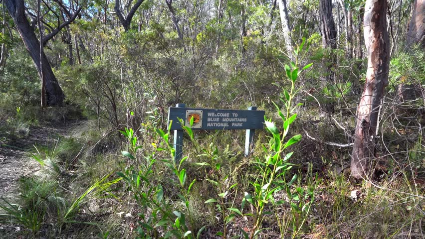 Indigenous Australian woman walking past a wooden Blue Mountains National park sign.