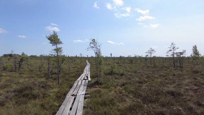 plank path along the swamp day time plain field