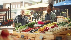 Latin Female Customer Buying Sustainable Organic Tomatoes and Napa Cabbage From a Multiethnic Farmers Couple. Successful Street Vendors Managing a Small Business Farm Stall at an Outdoors Market - Powered by Shutterstock - Get 15% off with code: PIKWIZARD15