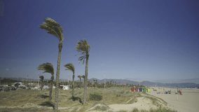 Wind on the seashore in Spain in spring. Walk along the dunes with palm trees near the sandy beach. The ships are on the roads in the sea. Castellon