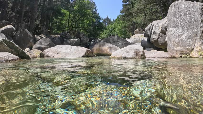Camera slowly plunges into the purest mountain river. Transparent water of river flowing in the mountains between stones and trees. Half underwater shot, slow motion