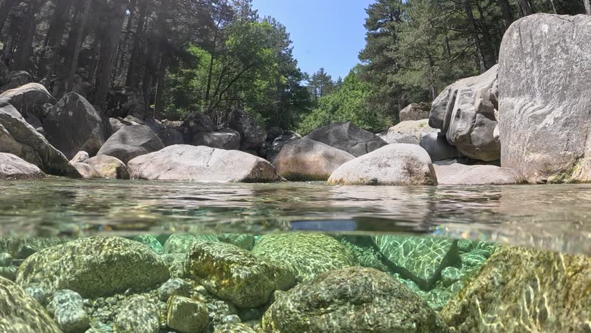 Camera slowly plunges into the purest mountain river. Transparent water of river flowing in the mountains between stones and trees. Half underwater shot, slow motion