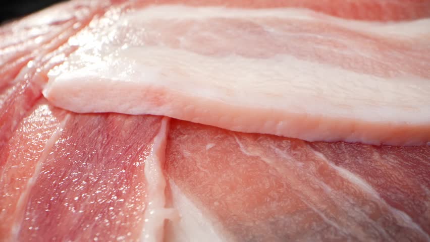 A macro video with a probe lens provides an up-close and detailed look at a raw pork belly slice, capturing its intricate textures, marbling, and the contrasting nature of the meat and fat. 4K UHD
