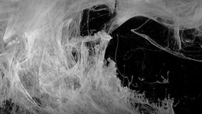 The video opens with a close-up shot of a clear container filled with water. Suspended above the water's surface is a droplet of ink, waiting to unleash its artistry.