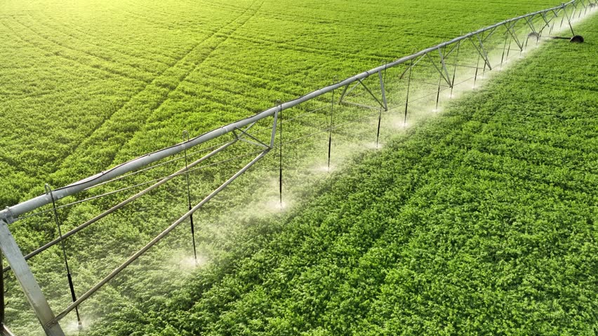 Aerial shot of the sprinklers watering Alfalfa on a circular farm in the Owens Valley in California
