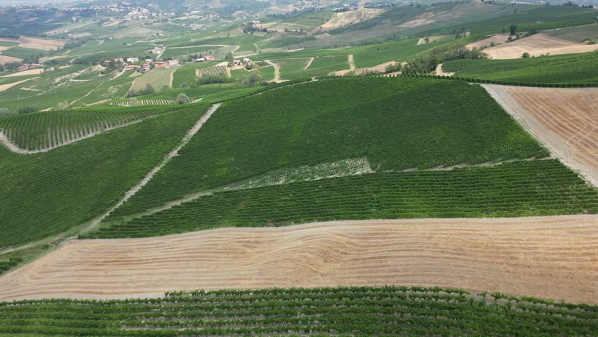 Europe, Italy, Oltrepo' Pavese Montalto - drone aerial view of amazing landscape countryside nature with vineyard production of vine area near Broni between Lombardy e Tuscany region  Royalty-Free Stock Footage #1106711341