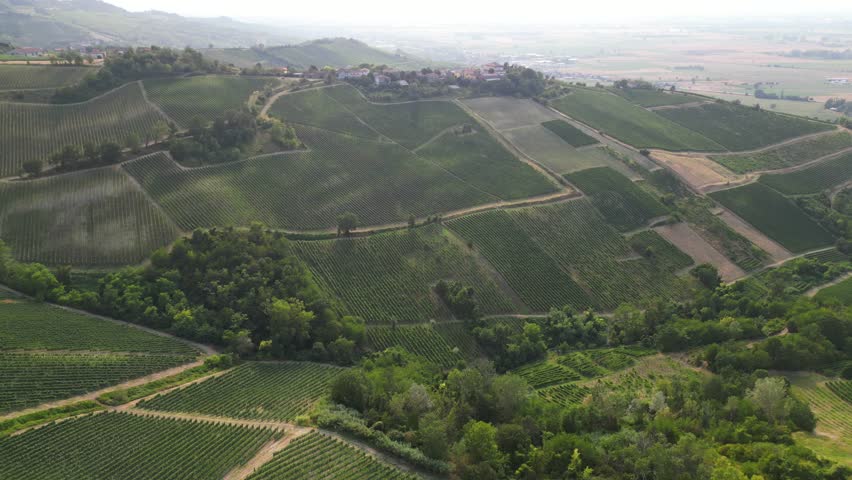 Europe, Italy, Oltrepo' Pavese Montalto - drone aerial view of amazing landscape countryside nature with vineyard production of vine area near Broni between Lombardy e Tuscany region  Royalty-Free Stock Footage #1106711347
