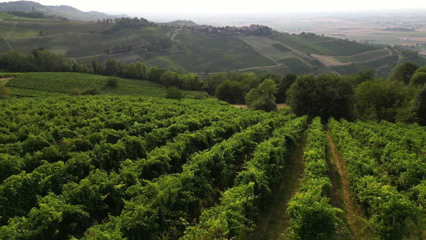 Europe, Italy, Oltrepo' Pavese Montalto - drone aerial view of amazing landscape countryside nature with vineyard production of vine area near Broni between Lombardy e Tuscany region  Royalty-Free Stock Footage #1106711349