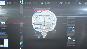 Animation of financial data processing over brain spinning. Global science, business, finances, computing and data processing concept digitally generated video. - Powered by Shutterstock - Get 15% off with code: PIKWIZARD15