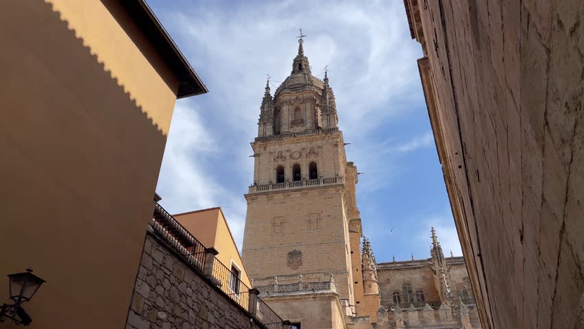Tower of the Salamanca Cathedral