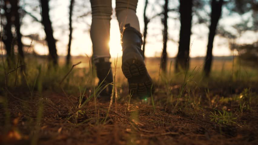 Autumn forest nature in park. Woman girl travels. Active trekking freedom of travel. Hiking in the forest. Summer long walk. Legs distance walking. Sports walk in open air. legs close-up in the forest