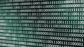 Digital data codes binary zeros and ones in an animated video in black and white. Random digital data matrix of binary code numbers isolated on a black background. Technology, coding, or big data  - Powered by Shutterstock - Get 15% off with code: PIKWIZARD15