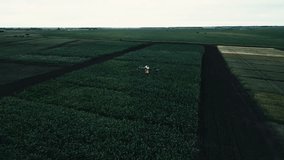 agricultural drones flying over soybean field top view, drone video.