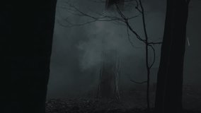 Spooky view of clubbing smoke or fog among the dark tree trunks, ground with fallen leaves. Creepy night autumn forest landscape. Horror scene, mysterious atmosphere, haunted woods - Powered by Shutterstock - Get 15% off with code: PIKWIZARD15