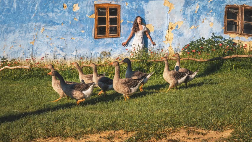 Beautiful exotic woman with a goose on the farm. Loop Animation.