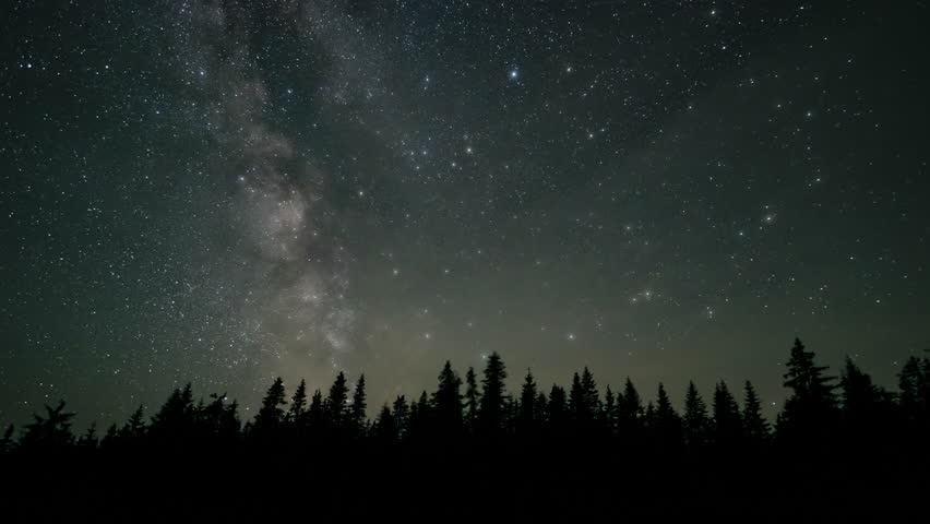 Timelapse of The Milky Way galaxy moves above the silhouettes of trees. Starry night background. Epic video 4K