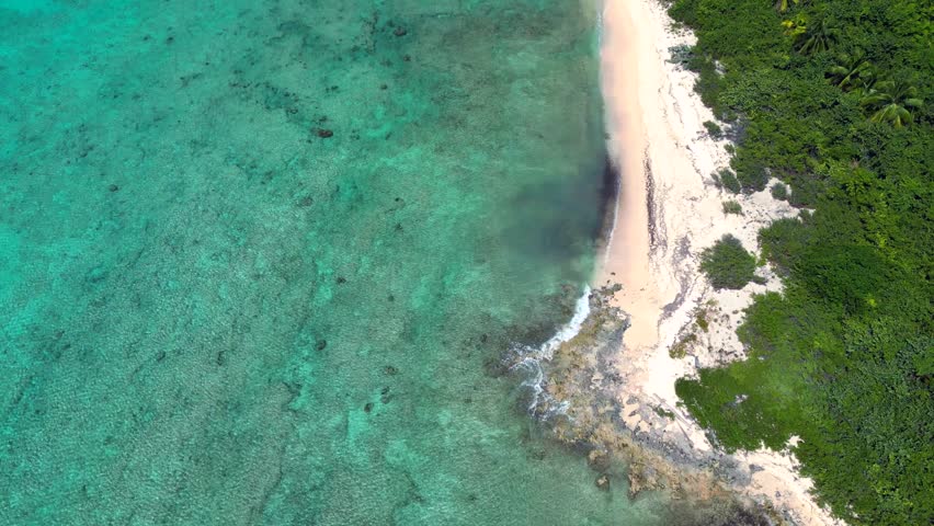 Drone footage flying above a beach fringed with palm trees as waves in a beautiful turquoise ocean break over a coral reef in the Cayman Islands in the Caribbean. Royalty-Free Stock Footage #1106746509