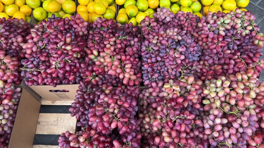 Fruit at the local farmers market