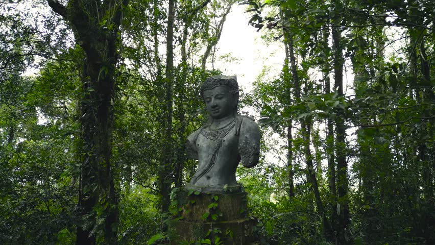 Buddha Statue Buddhism Nature Religion, Spiritual Place in the Jungle, Tropical Rainforest Holy Place Royalty-Free Stock Footage #1106755375
