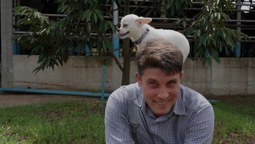 A small white dog yawning while playing on the back of his happy owner man in the backyard