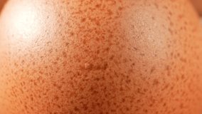 Macro video unveils fresh egg allure. Camera delves into their world, magnifying intricate textures on smooth, delicate skin. Nature's design showcased, every pore and contour a marvel. 
