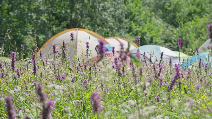 Tent camp on the lawn, where young people find adventure, relax and keep in touch with nature under the magical summer sun. Moments of harmony in the camp, where tents create comfort Royalty-Free Stock Footage #1106778789