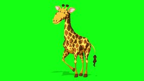 Cartoon Giraffe idle with shadow animation video on green screen background