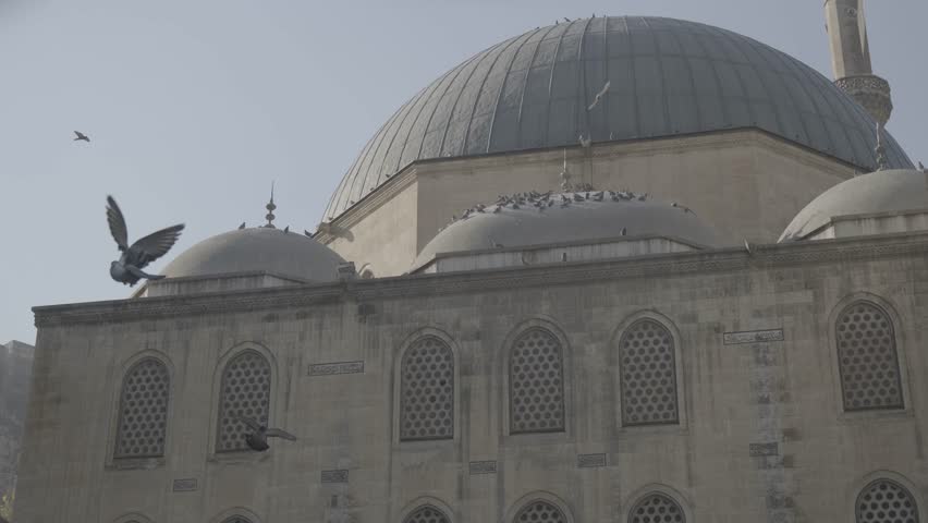 pigeons flying flog in Balıklıgöl derghah mosque 4k